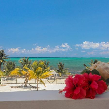 Treetops Hotel Caye Caulker Exterior foto