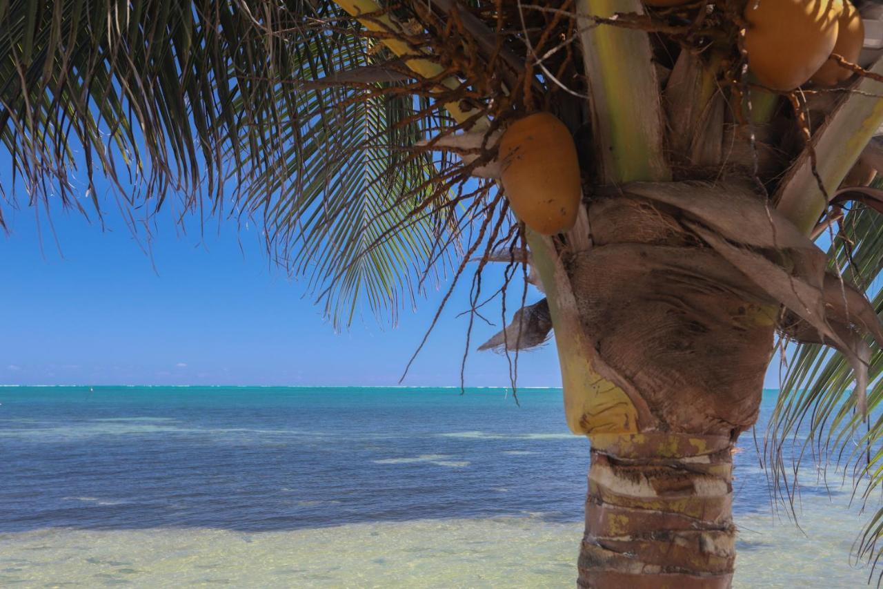 Treetops Hotel Caye Caulker Exterior foto